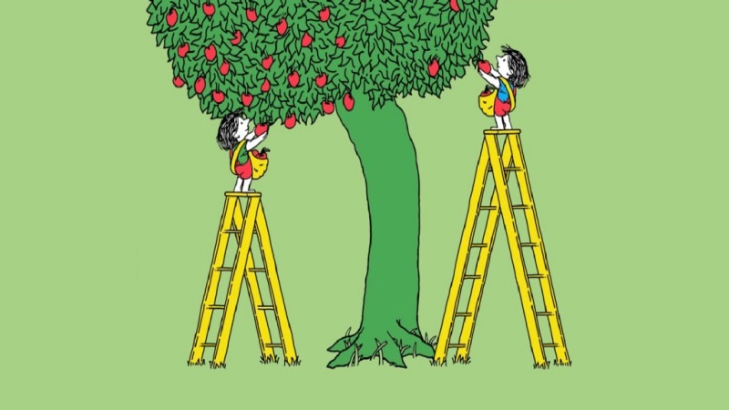 Financial ratios from the equity definition - ultima markets